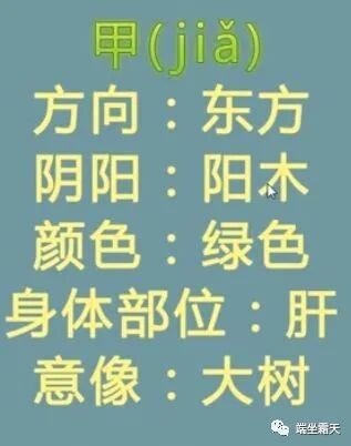 八字基础知识-入门必背