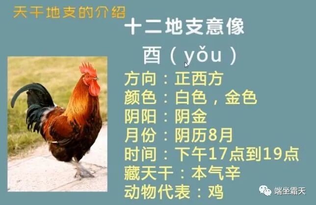 八字基础知识-入门必背