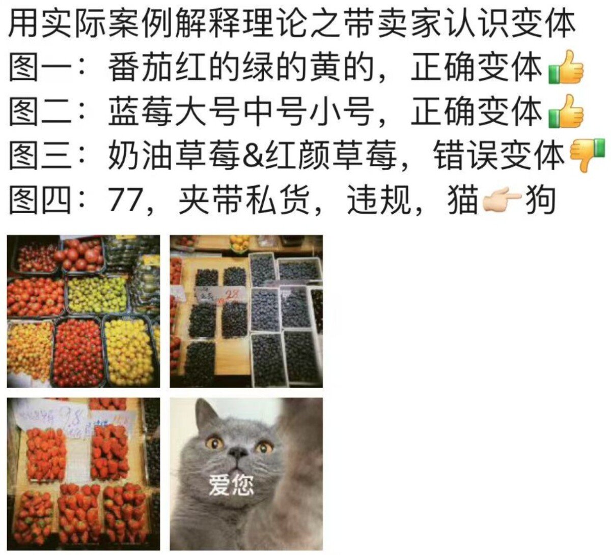 亚马逊刊登完后，就不知道该干什么？看看10天销量2万单的猛男推广-图片3