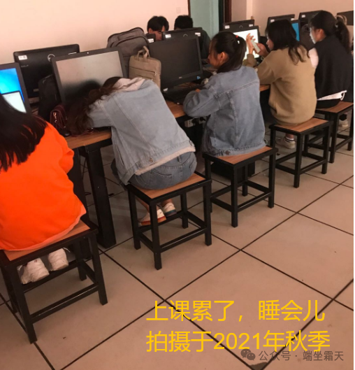 你弱，受欺负是世界的常态-图片1