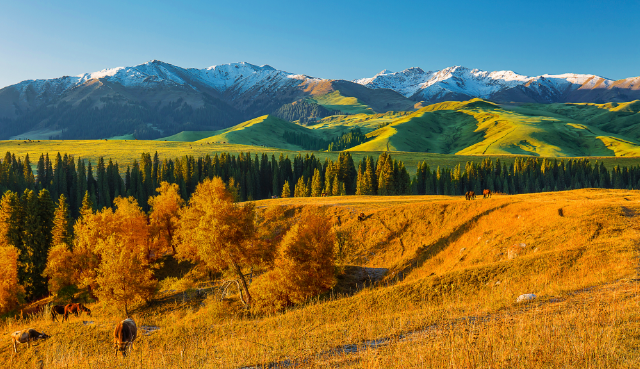 如何让团队的战斗力瞬间爆表?