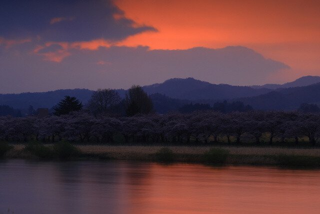 我们运营14年的ebay发现平台底层逻辑:如何卖高价