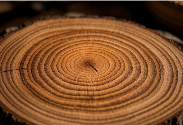 亚马逊申诉邮件:自发货权限被移除?!教你如何申诉!内附申诉原文