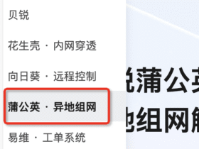多地远程办公室共享和远控方案