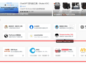 独立站第三课：实操指南——如何调查一家网站以优化其性能和流量